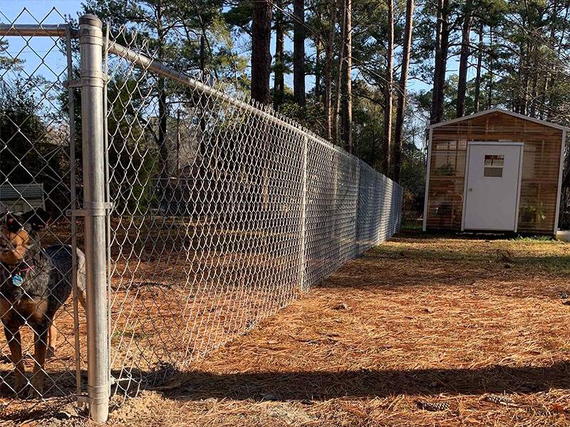 chain link fence Chatham County Georgia