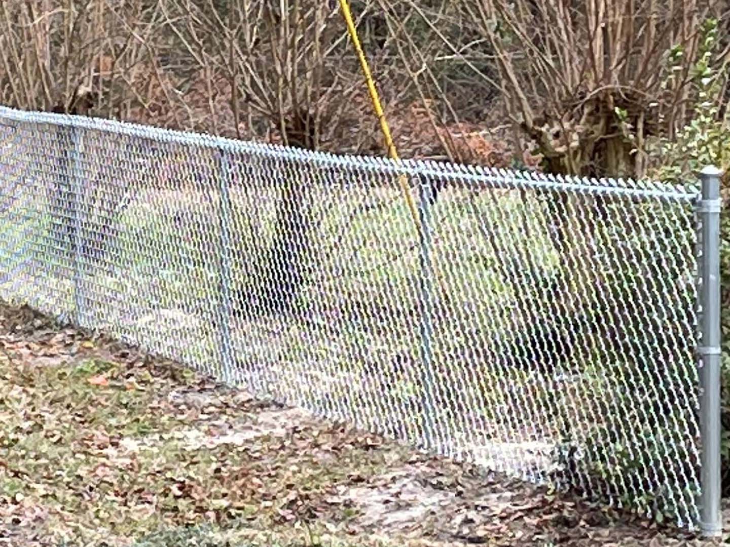 Savannah, Georgia Chain Link Fence